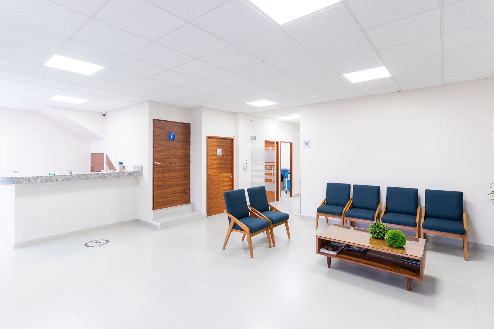 Physician reviewing a patient's history before a consultation